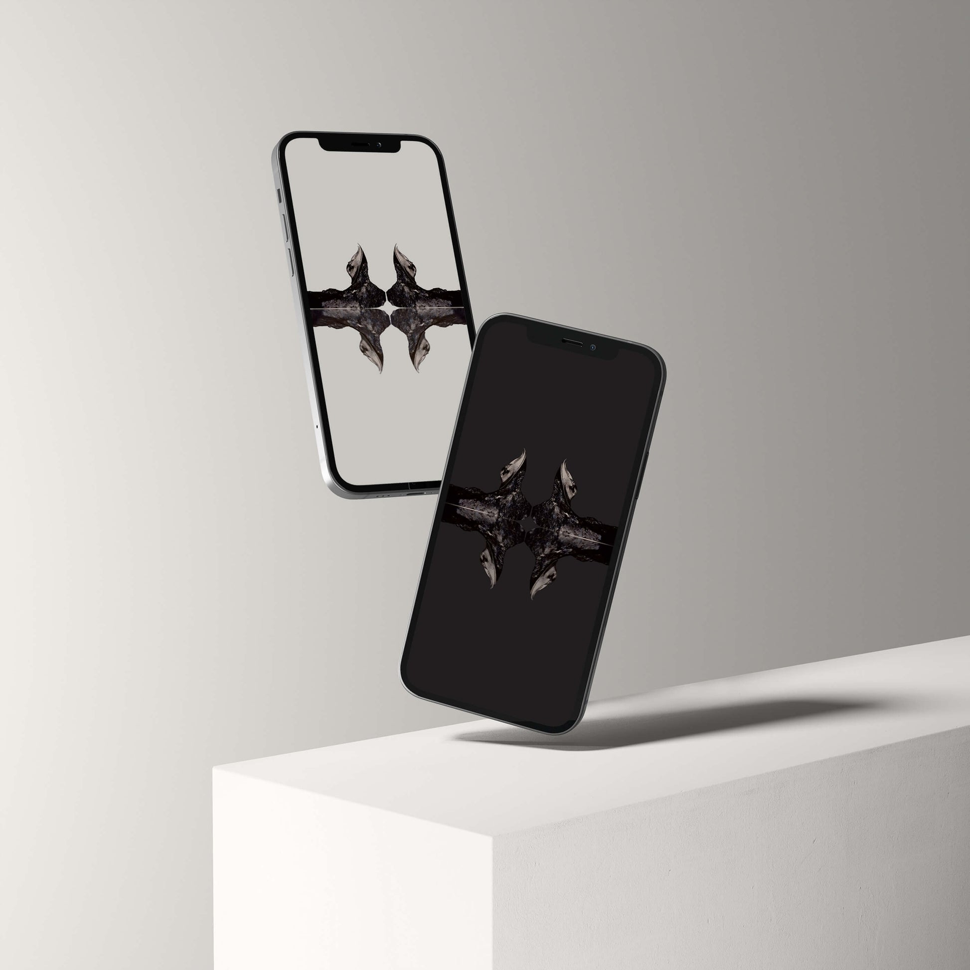 Digital Harpes Trilobite wallpaper showcased on two smartphones, designed for palaeontological enthusiasts.