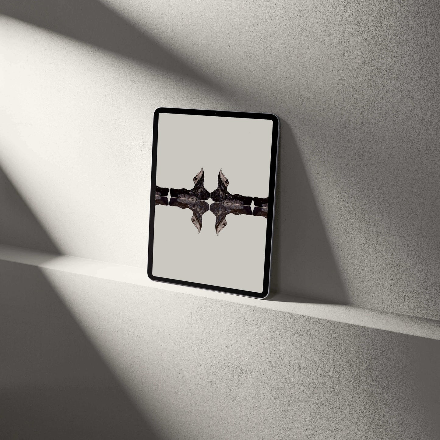 Digital Harpes Trilobite tablet wallpaper displayed on a minimalist shelf, showcasing palaeontological aesthetics.