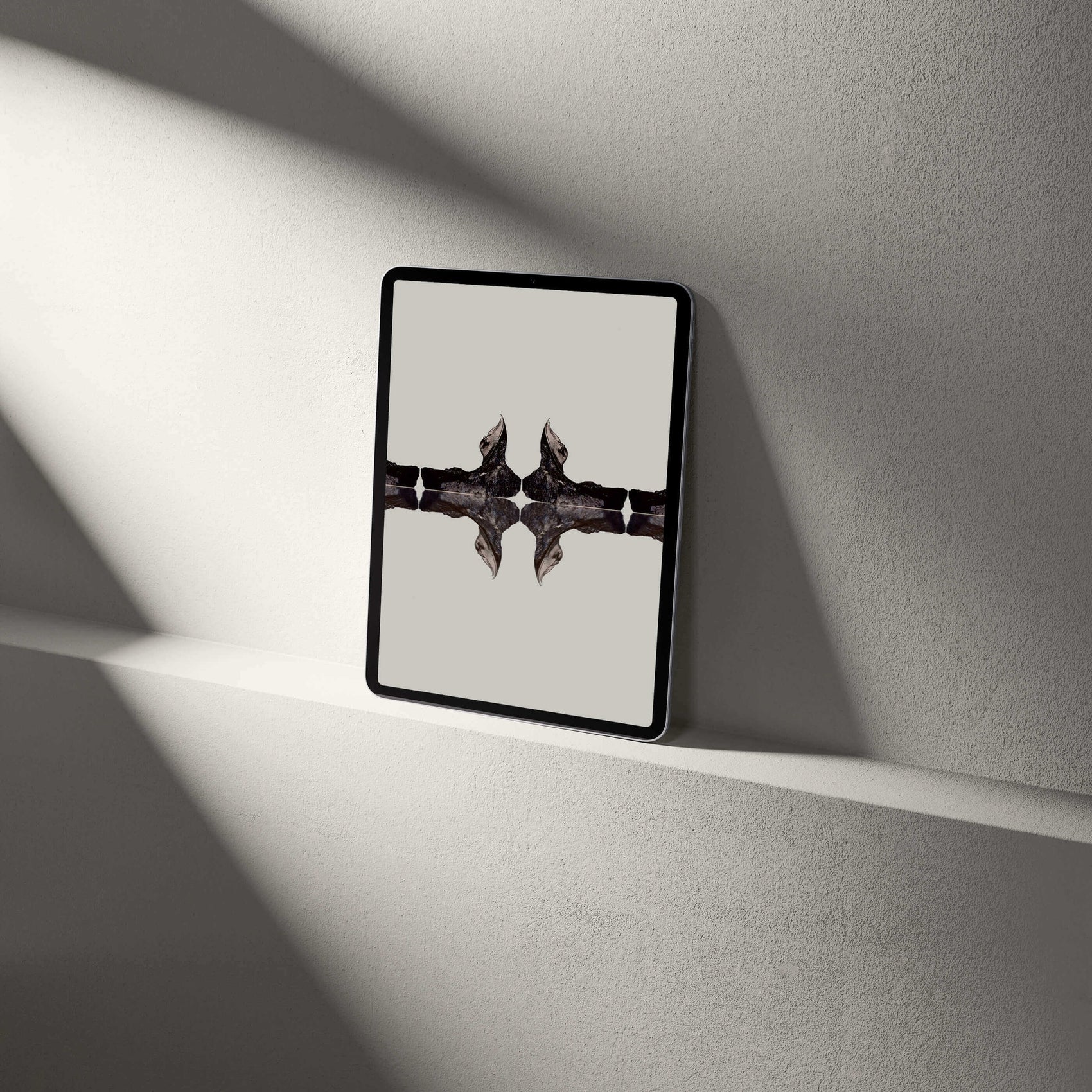 Digital Harpes Trilobite tablet wallpaper displayed on a minimalist shelf, showcasing palaeontological aesthetics.
