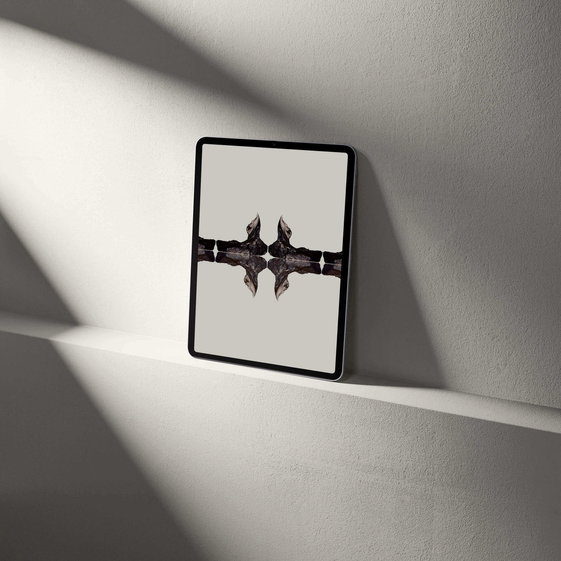 Digital Harpes Trilobite tablet wallpaper displayed on a minimalist shelf, showcasing palaeontological aesthetics.