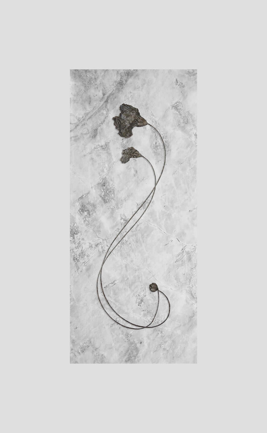 Scyphocrinites Elegans Sea Lily Duo in Honed Limestone measuring two meters