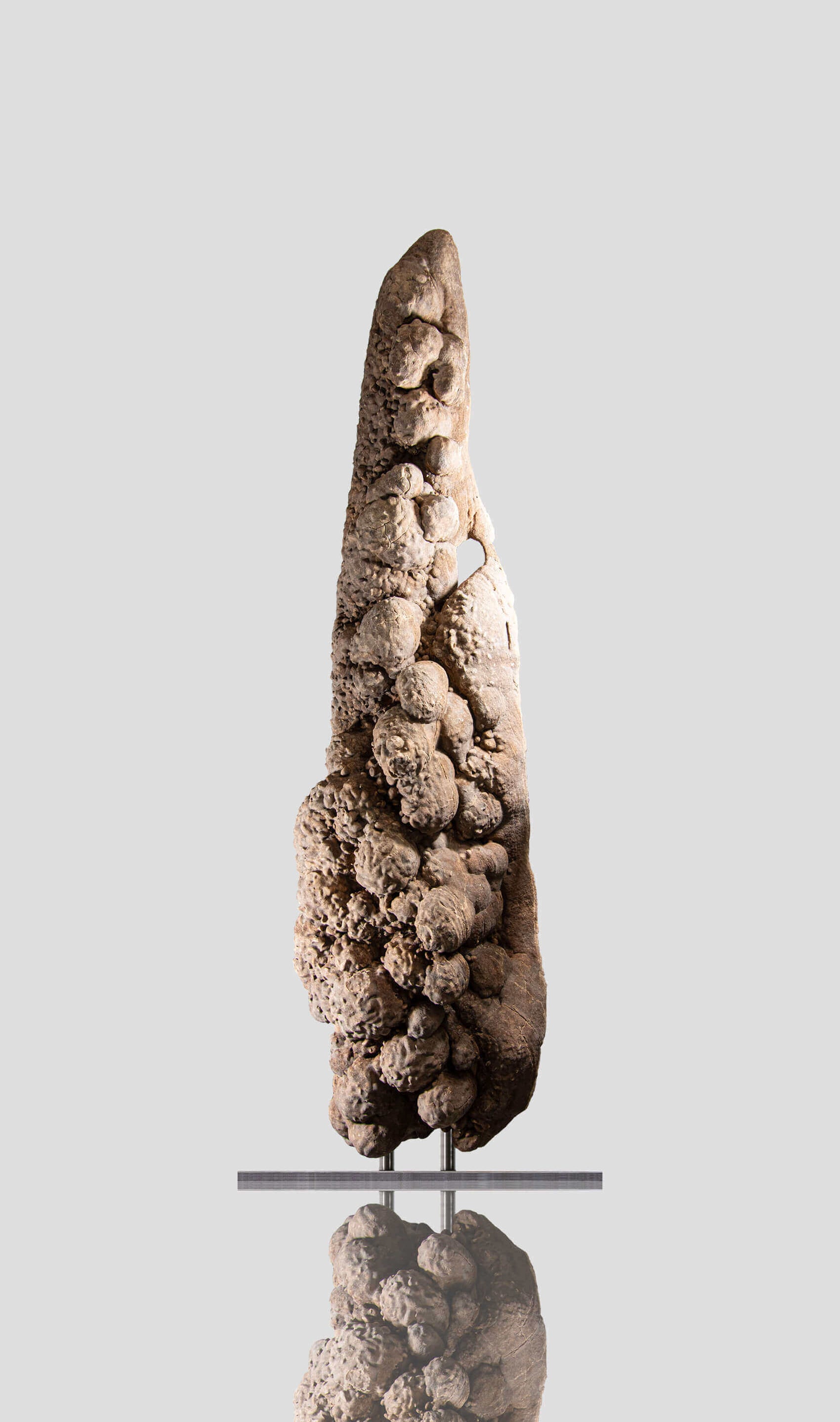 extremely rare 2 meter authentic natural desert rose mineral for sale 95