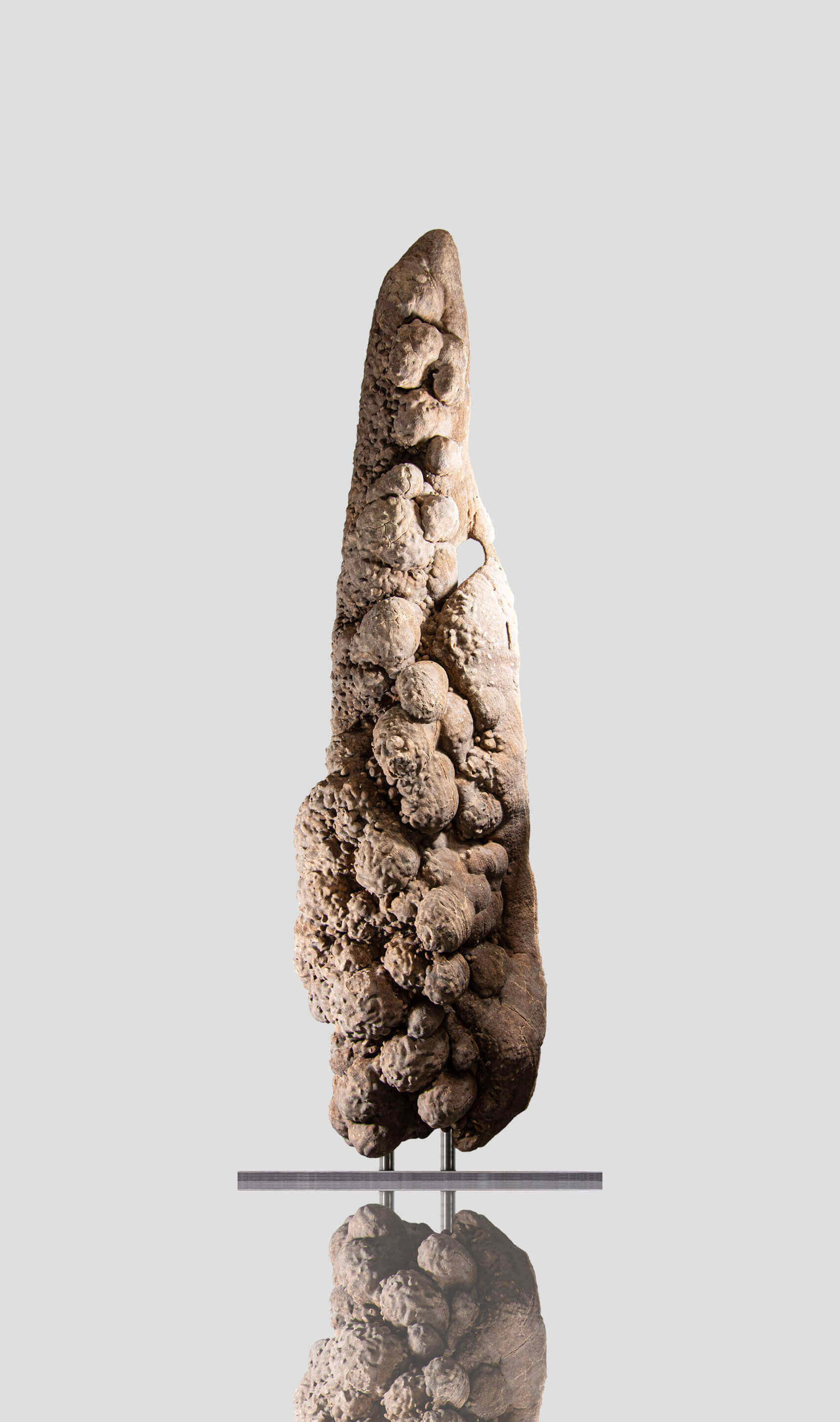 extremely rare 2 meter authentic natural desert rose mineral for sale 95