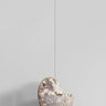 A Museum-quality Hoplitoides wohltmanni ammonite fossil for sale presented on a custom designed AES Brass stand series