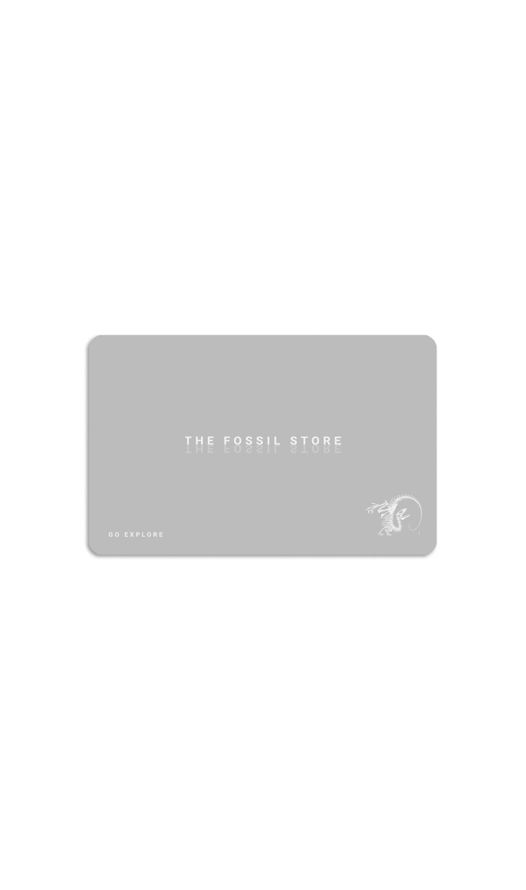 The Fossil Store custom payment option 2