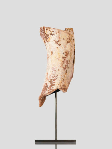dinosaur bone for sale on bronze stand for interior fossil display 01