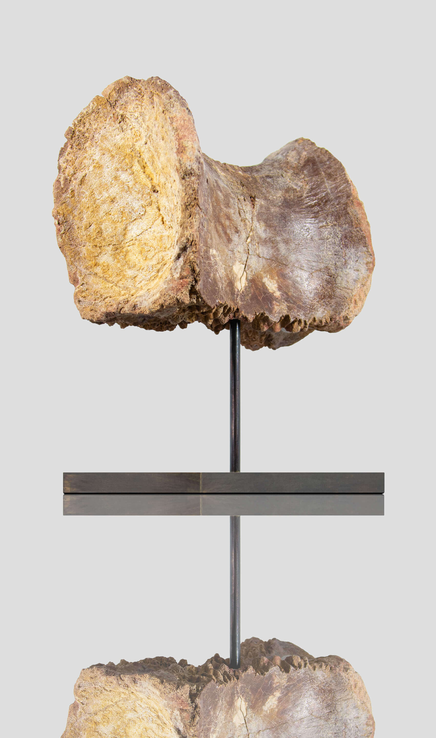 Dinosaur vertebra for sale on a bronze stand for interior display 34
