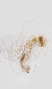 mammoth hair for sale in acrylic display 2