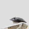 A very nice authentic rare metacanthina trilobite fossil for sale 4