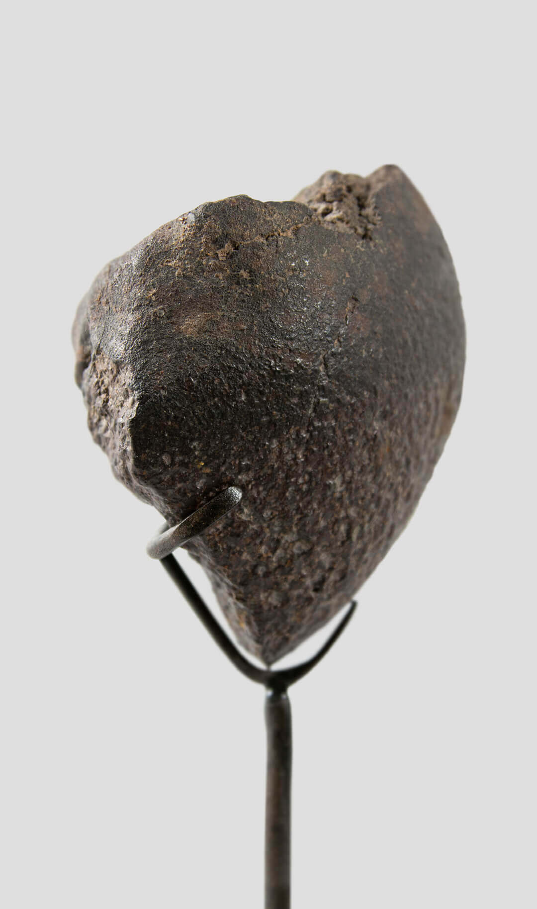rare h5 nwa meteorite for sale on bronze stand 299