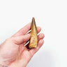 fossil dinosaur spinosaurus tooth for sale at the uk fossil store 103