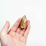 real fossil dinosaur carcharodontosaurus tooth for sale at the uk fossil store 60