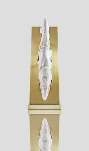 A rare white spinosaurus toe claw for sale on a custom brass stand for interior display 53