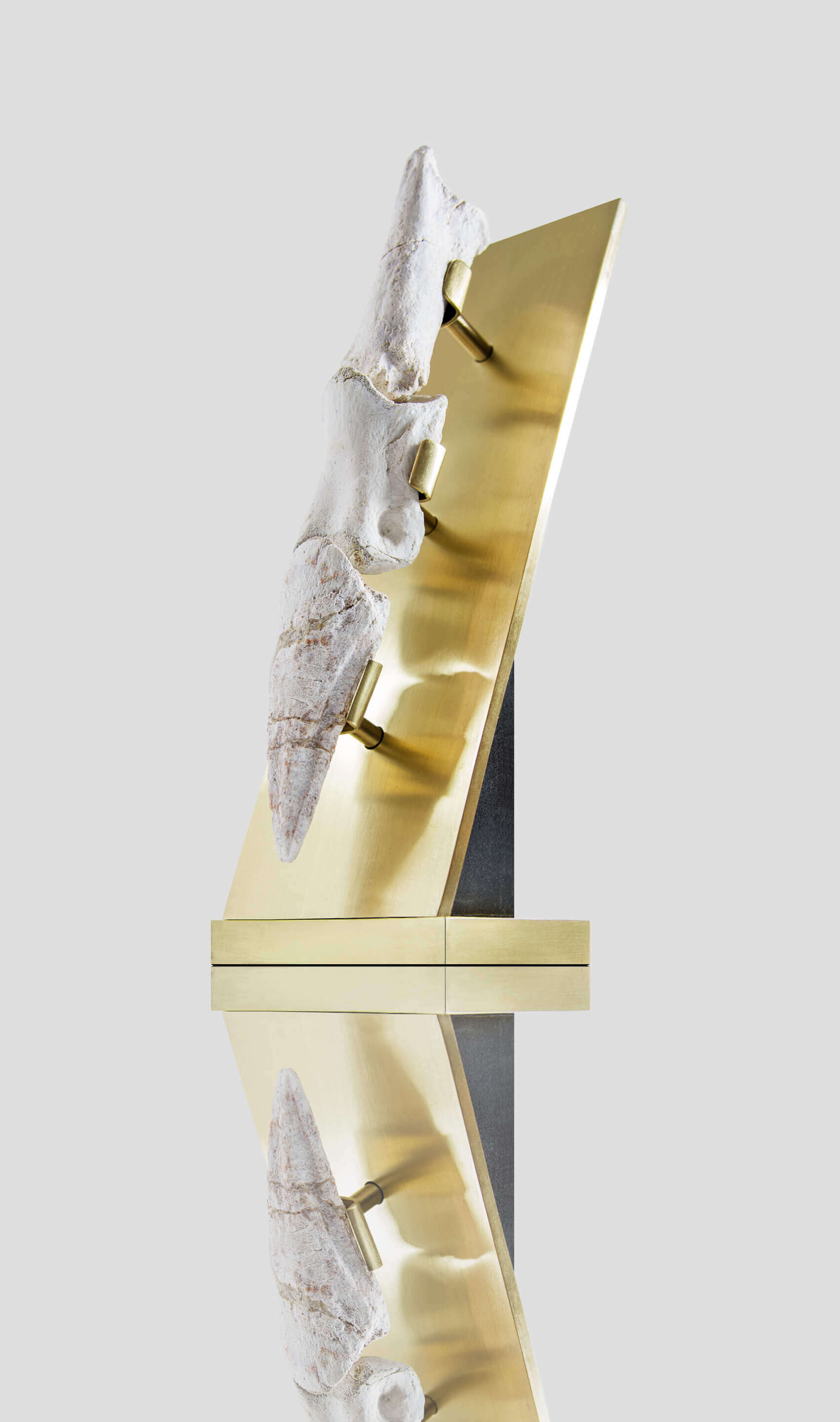 A rare white spinosaurus toe claw for sale on a custom brass stand for interior display 56